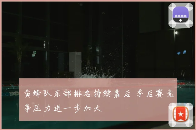 黄蜂队东部排名持续靠后 季后赛竞争压力进一步加大