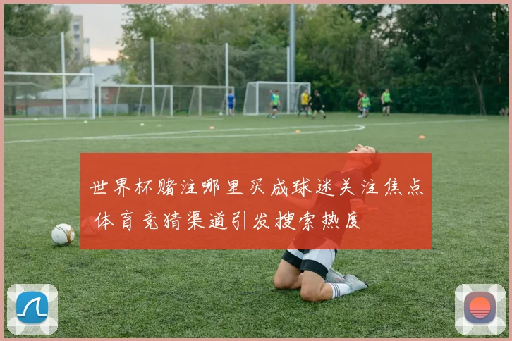 世界杯赌注哪里买成球迷关注焦点 体育竞猜渠道引发搜索热度
