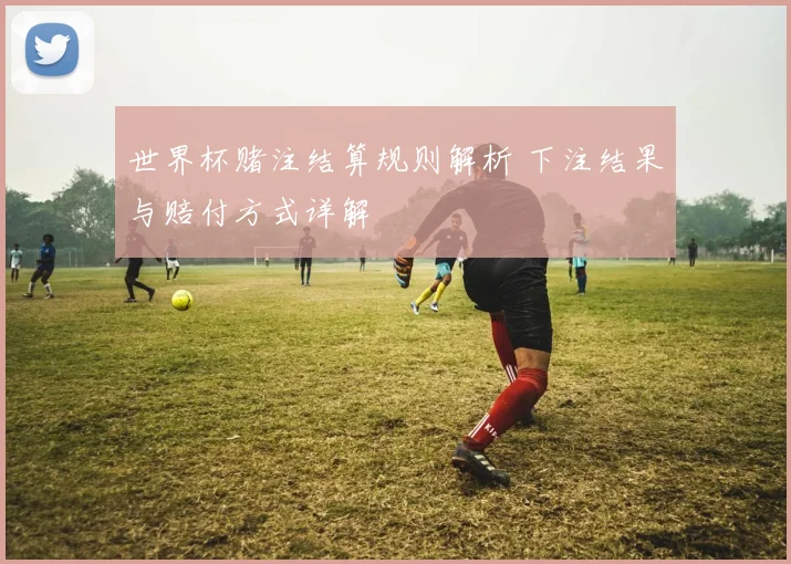 世界杯赌注结算规则解析 下注结果与赔付方式详解