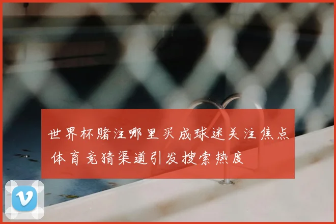 世界杯赌注哪里买成球迷关注焦点 体育竞猜渠道引发搜索热度