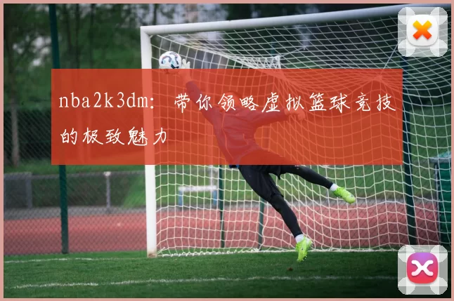nba2k3dm：带你领略虚拟篮球竞技的极致魅力