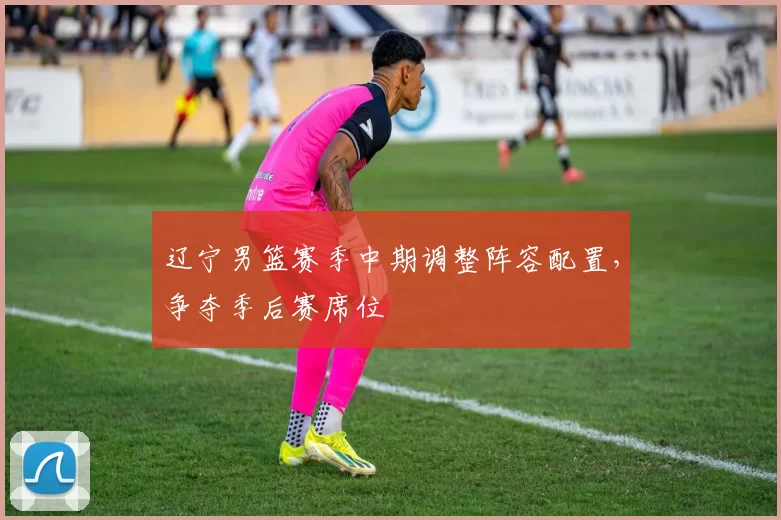 辽宁男篮赛季中期调整阵容配置，争夺季后赛席位