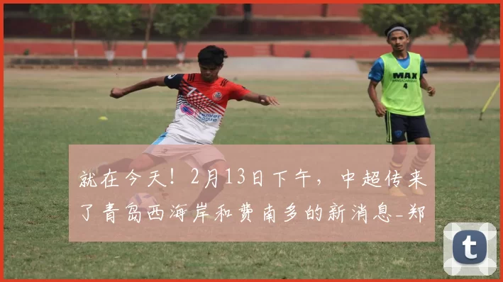 就在今天！2月13日下午，中超传来了青岛西海岸和费南多的新消息_郑智发_欧元_国足