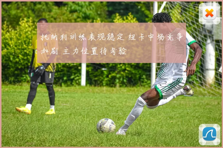 托纳利训练表现稳定 纽卡中场竞争加剧 主力位置待考验