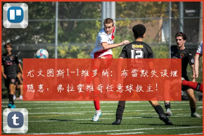 尤文图斯1-1维罗纳：布雷默失误埋隐患，弗拉霍维奇任意球救主！