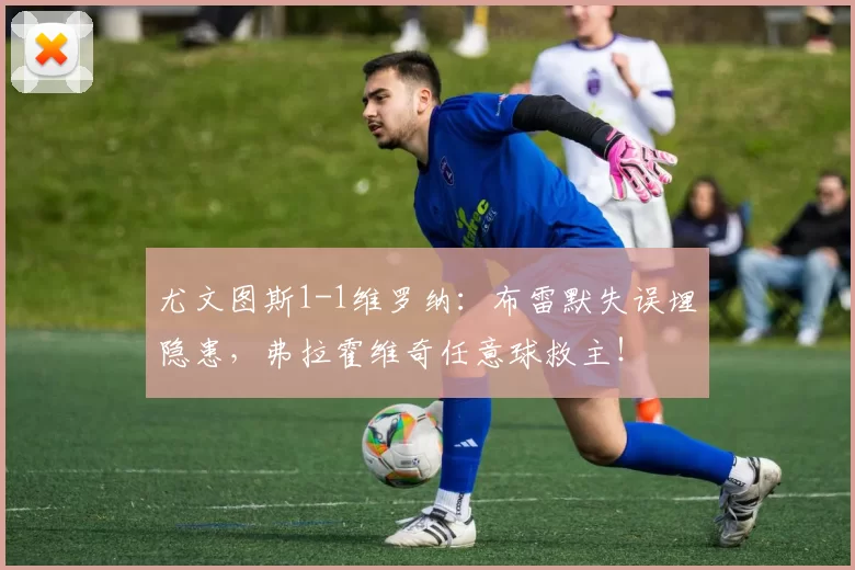 尤文图斯1-1维罗纳：布雷默失误埋隐患，弗拉霍维奇任意球救主！