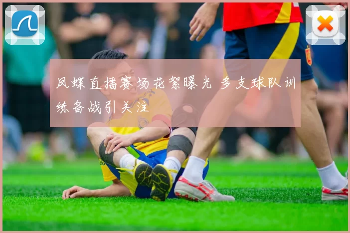 凤蝶直播赛场花絮曝光 多支球队训练备战引关注
