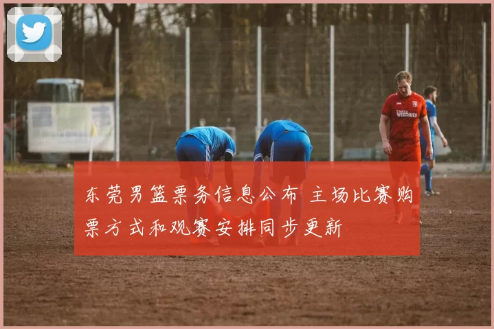 东莞男篮票务信息公布 主场比赛购票方式和观赛安排同步更新