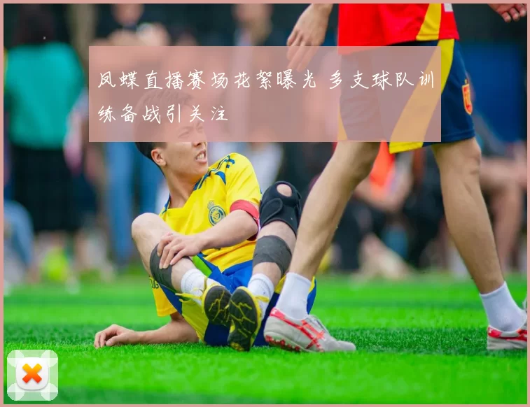 凤蝶直播赛场花絮曝光 多支球队训练备战引关注